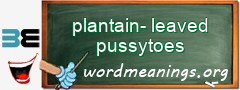WordMeaning blackboard for plantain-leaved pussytoes